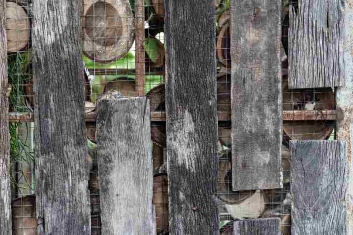 Gdzie znaleźć drewno z rozbiórek do domu i jak je wykorzystać?