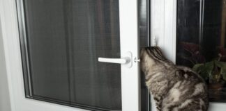 Jak wykonać własnoręcznie wejściówkę dla kota - poradnik wideo
